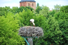 ING_3722