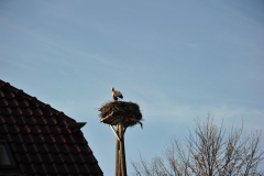2013