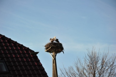 ING_4805