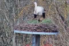 storch2015_20150409_144028