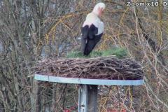 storch2015_20150409_163028